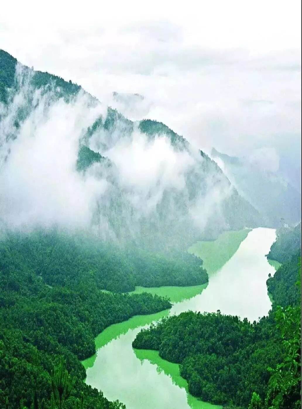 瀑布近景