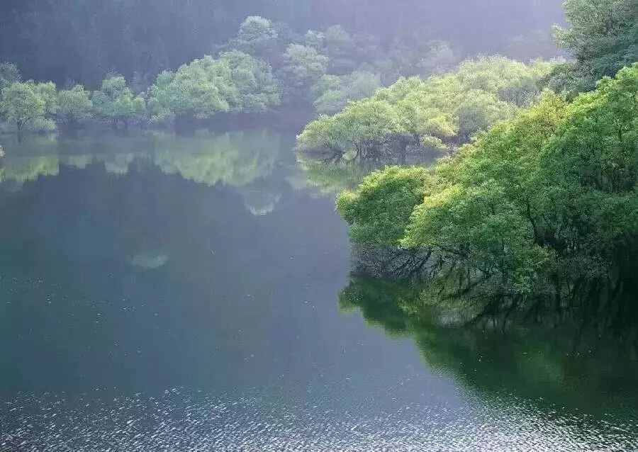 山石奇观