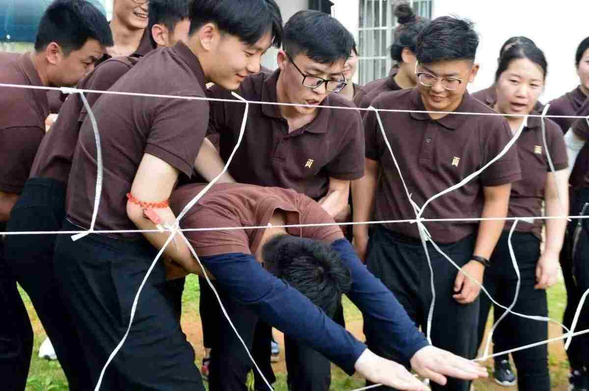 蜘蛛网